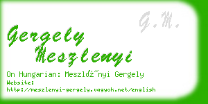 gergely meszlenyi business card